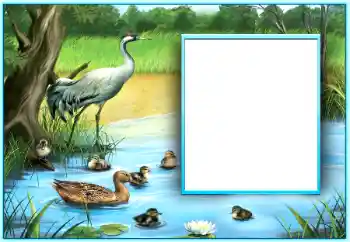 カテゴリのフォトエフェクト いろいろ № 124254