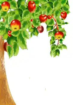 カテゴリのフォトエフェクト いろいろ № 124400