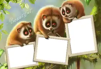 カテゴリのフォトエフェクト いろいろ № 124434