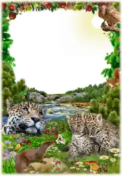 カテゴリのフォトエフェクト いろいろ № 125652