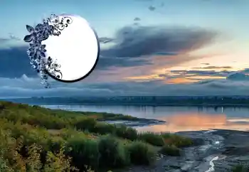 カテゴリのフォトエフェクト いろいろ № 125673