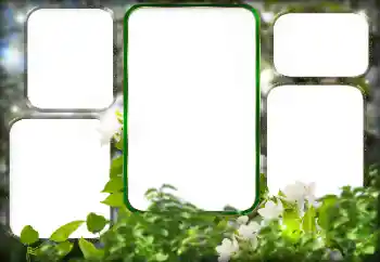 カテゴリのフォトエフェクト いろいろ № 125911