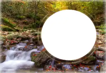 カテゴリのフォトエフェクト いろいろ № 126953