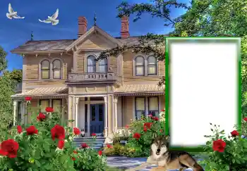 カテゴリのフォトエフェクト いろいろ № 127146