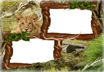 カテゴリのフォトエフェクト いろいろ № 128637