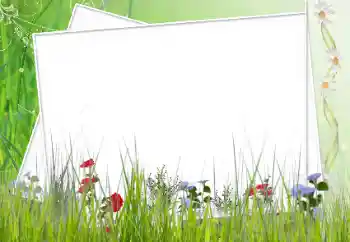 カテゴリのフォトエフェクト いろいろ № 12902