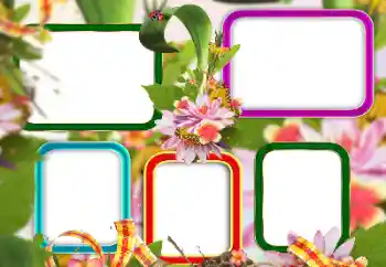 カテゴリのフォトエフェクト いろいろ № 129813