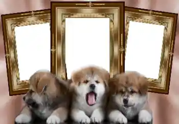 カテゴリのフォトエフェクト いろいろ № 130156