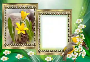 カテゴリのフォトエフェクト いろいろ № 130649