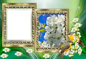 カテゴリのフォトエフェクト いろいろ № 130650