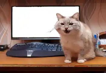 カテゴリのフォトエフェクト いろいろ № 130940 カテゴリのフォトエフェクト いろいろ № 130940