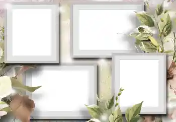 カテゴリのフォトエフェクト いろいろ № 131105