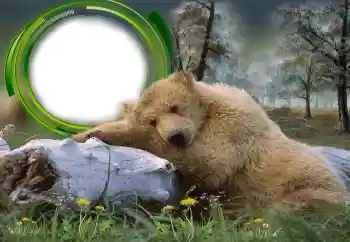 カテゴリのフォトエフェクト いろいろ № 131305