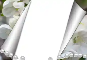 カテゴリのフォトエフェクト いろいろ № 131361