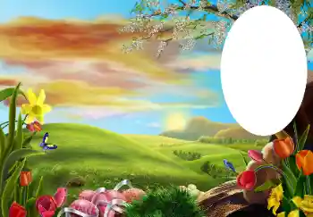 カテゴリのフォトエフェクト いろいろ № 131534