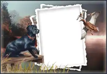 カテゴリのフォトエフェクト いろいろ № 132874 カテゴリのフォトエフェクト いろいろ № 132874