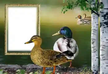 カテゴリのフォトエフェクト いろいろ № 132884 カテゴリのフォトエフェクト いろいろ № 132884