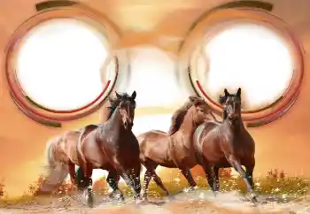 カテゴリのフォトエフェクト いろいろ № 133286 カテゴリのフォトエフェクト いろいろ № 133286