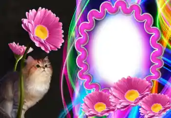 カテゴリのフォトエフェクト いろいろ № 138543