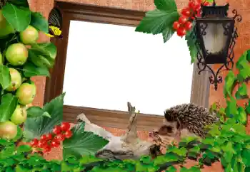 カテゴリのフォトエフェクト いろいろ № 13917