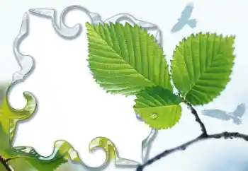 カテゴリのフォトエフェクト いろいろ № 13921 カテゴリのフォトエフェクト いろいろ № 13921