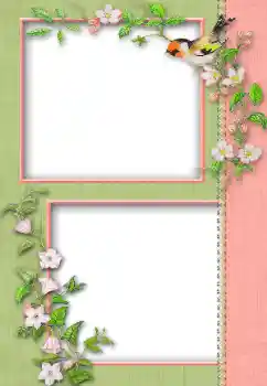 カテゴリのフォトエフェクト いろいろ № 13930