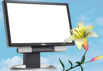 カテゴリのフォトエフェクト いろいろ № 13988