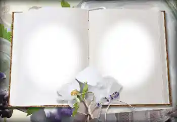 カテゴリのフォトエフェクト いろいろ № 139914