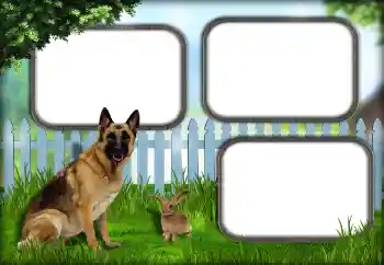 カテゴリのフォトエフェクト いろいろ № 139921