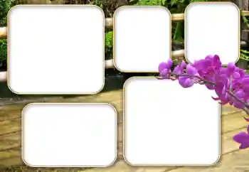 カテゴリのフォトエフェクト いろいろ № 140964