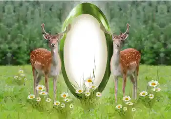 カテゴリのフォトエフェクト いろいろ № 142259