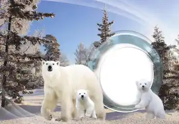 カテゴリのフォトエフェクト いろいろ № 143683