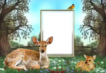 カテゴリのフォトエフェクト いろいろ № 143762