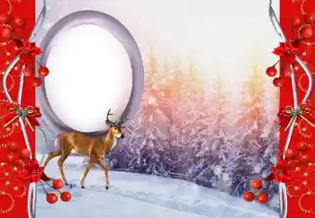 カテゴリのフォトエフェクト いろいろ № 144845