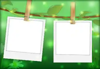 カテゴリのフォトエフェクト いろいろ № 144901