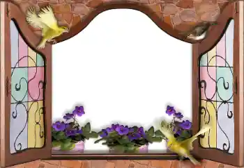 カテゴリのフォトエフェクト いろいろ № 145186 カテゴリのフォトエフェクト いろいろ № 145186