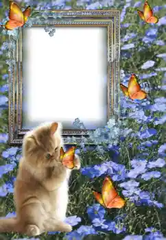 カテゴリのフォトエフェクト いろいろ № 147609 カテゴリのフォトエフェクト いろいろ № 147609