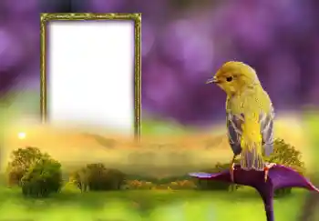 カテゴリのフォトエフェクト いろいろ № 147660 カテゴリのフォトエフェクト いろいろ № 147660