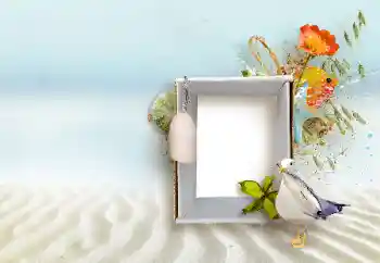 カテゴリのフォトエフェクト いろいろ № 147890