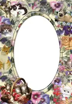 カテゴリのフォトエフェクト いろいろ № 14919