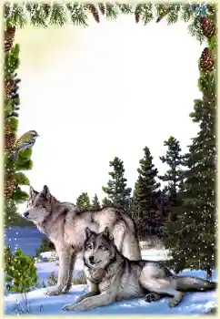 カテゴリのフォトエフェクト いろいろ № 149260 カテゴリのフォトエフェクト いろいろ № 149260