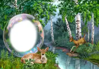 カテゴリのフォトエフェクト いろいろ № 149352