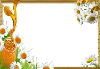 カテゴリのフォトエフェクト いろいろ № 14966