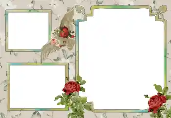 カテゴリのフォトエフェクト いろいろ № 15030