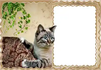 カテゴリのフォトエフェクト いろいろ № 150513 カテゴリのフォトエフェクト いろいろ № 150513