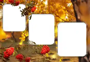 カテゴリのフォトエフェクト いろいろ № 150527 カテゴリのフォトエフェクト いろいろ № 150527