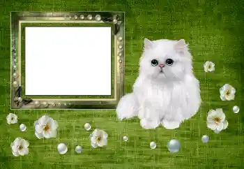 カテゴリのフォトエフェクト いろいろ № 150550 カテゴリのフォトエフェクト いろいろ № 150550