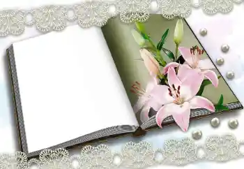 カテゴリのフォトエフェクト いろいろ № 150570 カテゴリのフォトエフェクト いろいろ № 150570