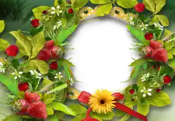 カテゴリのフォトエフェクト いろいろ № 151668