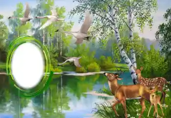 カテゴリのフォトエフェクト いろいろ № 151671